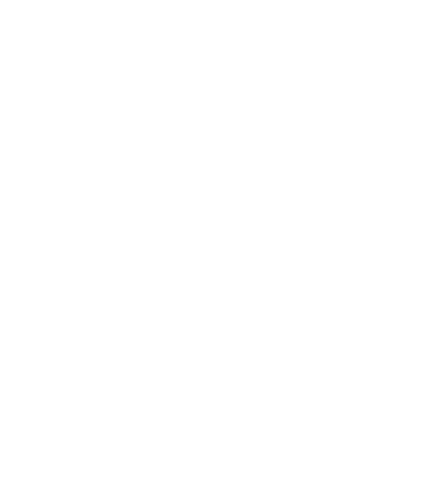 PenIconWhite