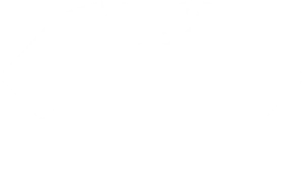 TShirtIcon